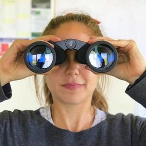 Meet your Posher, Beryl